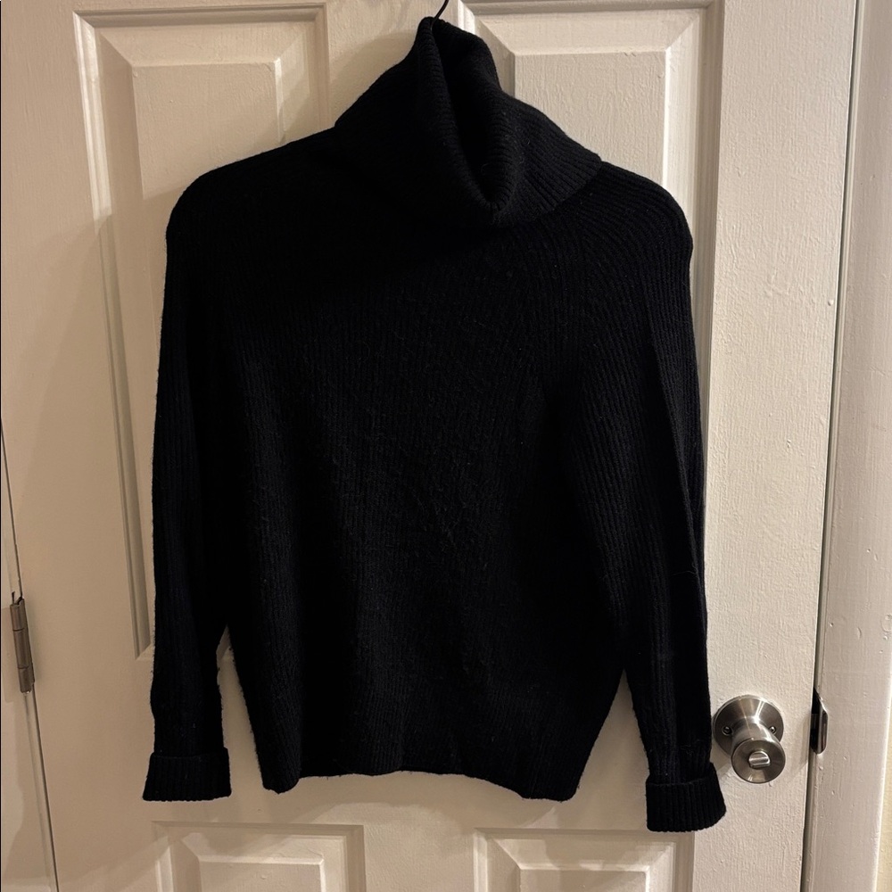 Quince Black Turtleneck Sweater